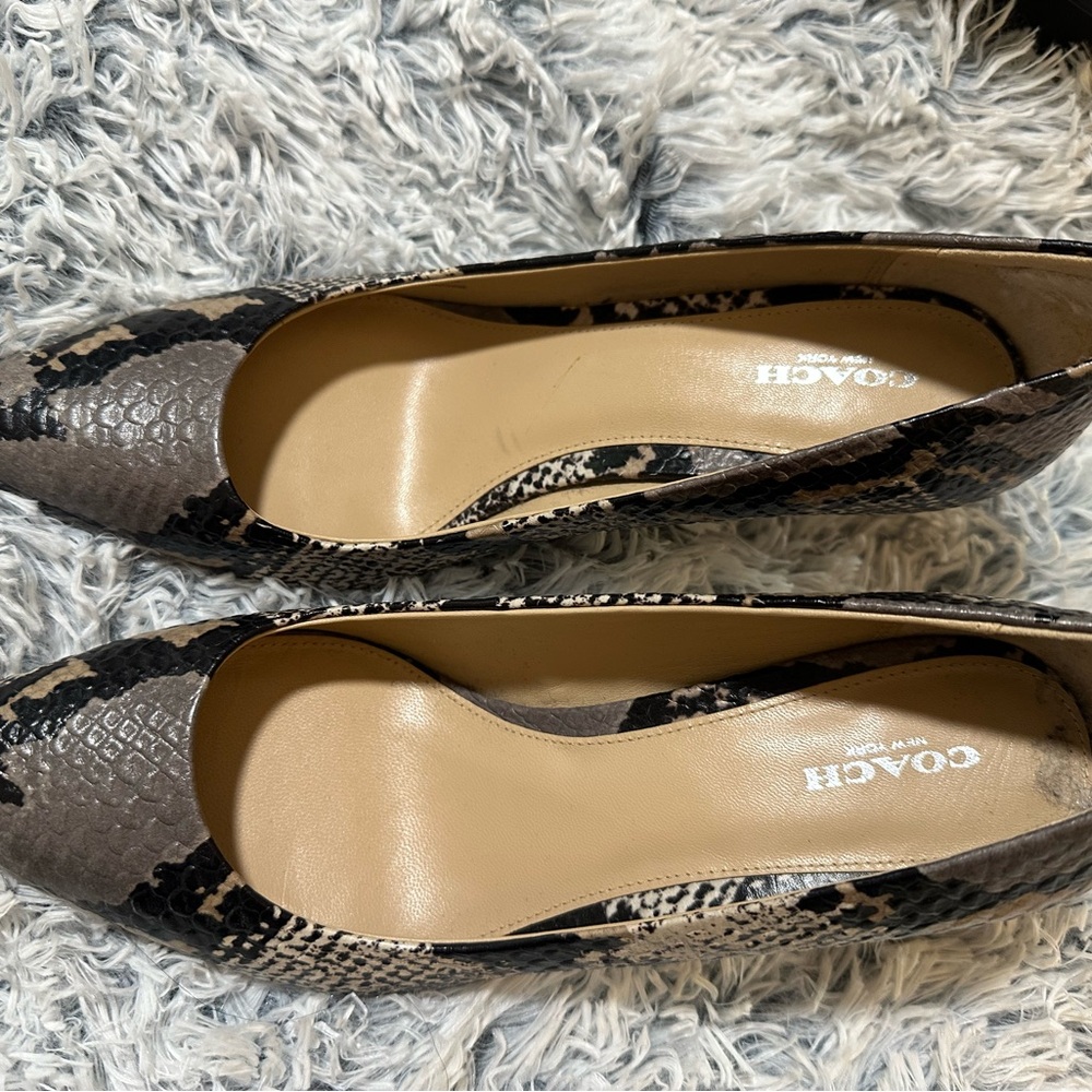 Coach Heels/Pumps - Snake Skin/Crocodile Color - Size 10 - Great Condition